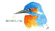 Bioartsense Aquarelle - GALLERY