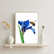 Bioartsense Aquarelle - GALLERY