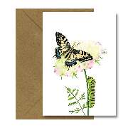 Bioartsense Aquarelle - GALLERY