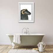 Bioartsense Aquarelle - GALLERY