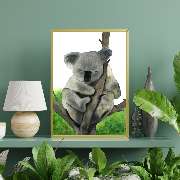 Bioartsense Aquarelle - GALLERY