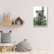 Bioartsense Aquarelle - GALLERY