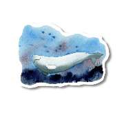 Bioartsense Aquarelle - GALLERY