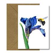 Bioartsense Aquarelle - GALLERY