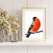 Bioartsense Aquarelle - GALLERY