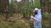 bioControl Schädlingsbekämpfung - Christian Hackel - bioControl Schädlingsbekämpfung - Christian Hackel  Blossin  Deutschland