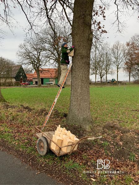 Biohof Beckerwerth - GALLERY