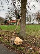 Biohof Beckerwerth - GALLERY