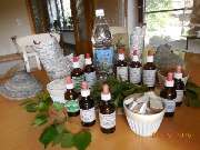 Birkeneddy - GALLERY