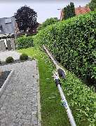 Bismarck Reinigung - 7