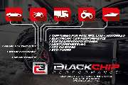 BLACKCHIP Performance - 2