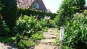 Blattwerk Uphoff Pflanzenverkauf & Gartengestaltung - PFLANZARBEITEN