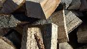 BLC Brennholz - GALLERY