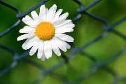 BLIM Haus und Garten - GALLERY