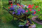 BLIM Haus und Garten - GALLERY