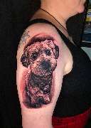 Bloody Dogs Tattoo & Piercing Inh. Robert Pongrácz - GALLERY