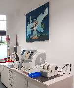 Blue Eyes Optik - GALLERY