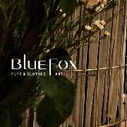 Logo - Blue Fox Boutique