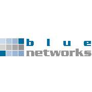 blue networks GmbH - LOGO