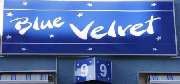Logo - Blue Velvet Haus 9 - Exklusives Bordell in Mannheim