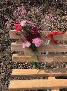 Blütenpracht - Blumendeko - Blütenpracht - Blumengeschäft - Hamburg
