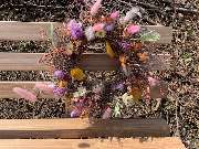 Blütenpracht - Blumenkranz - Blütenpracht - Blumengeschäft - Hamburg