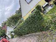 Bluhm Gartenpflege u. Gebäudeservice Alles rund ums Haus - IMG_6624.jpeg