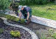 Bluhm Gartenpflege u. Gebäudeservice Alles rund ums Haus - IMG_6938.jpeg