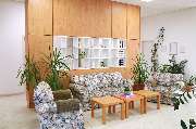 Blume-Optik - GALLERY