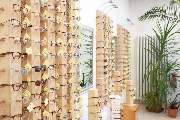 Blume-Optik - GALLERY