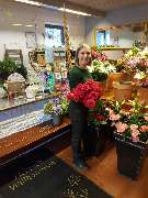 Blumen Advena - 3