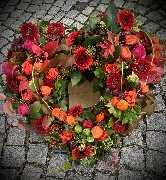 Blumen Advena - 4