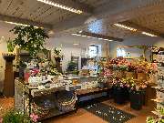 Blumen Advena - 5
