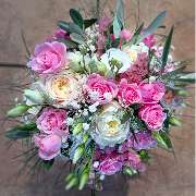 Blumen Anemone - GALLERY