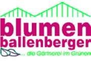 blumen ballenberger - GALLERY