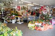 Blumen Barrey - GALLERY