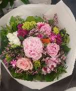 Blumen Belga - GALLERY