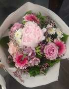 Blumen Belga - GALLERY