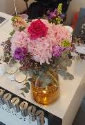 Blumen Belga - GALLERY