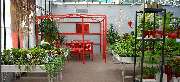Blumen Benz - Gärtnerei & Floristik - GALLERY
