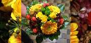 Blumen & BIO Lädle Gläßle - 12