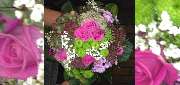 Blumen & BIO Lädle Gläßle - 15