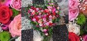 Blumen & BIO Lädle Gläßle - 19