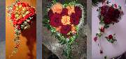 Blumen & BIO Lädle Gläßle - 20