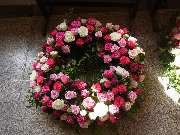 Blumen & BIO Lädle Gläßle - 5