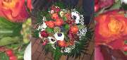 Blumen & BIO Lädle Gläßle - 7