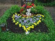 Blumen Bock - GALLERY