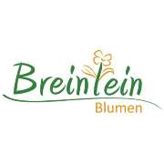 Blumen Breinlein - LOGO