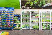 Blumen Brügger - GALLERY