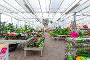 Blumen Brügger - GALLERY